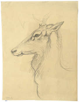 Visualizza l'immagine "FD D 140"